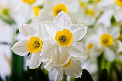 KK官方对战平台赛事申报指南公布 手把手教你成为赛事经理人！